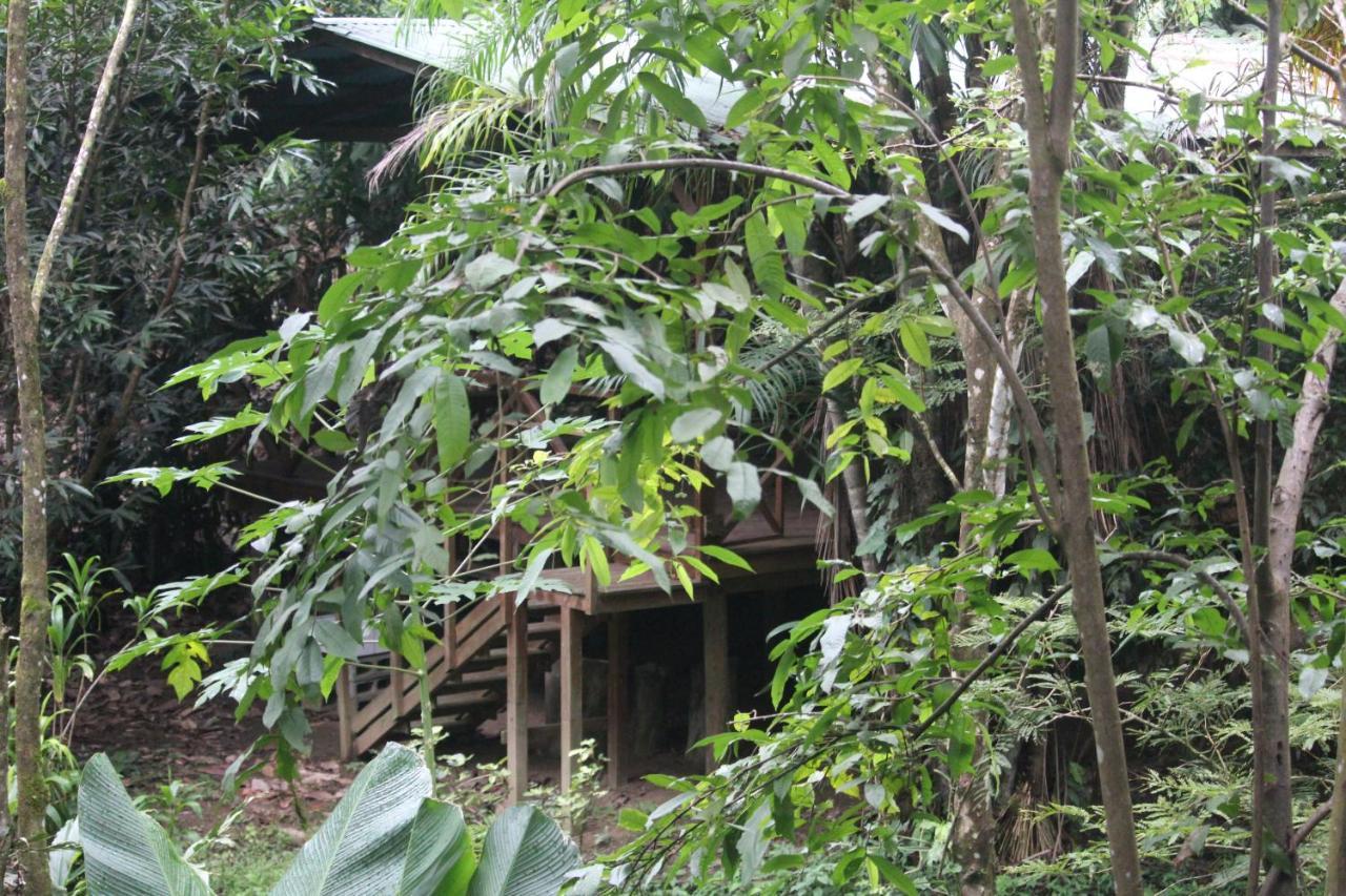Hotel Iguana Libre Dominical Exteriér fotografie