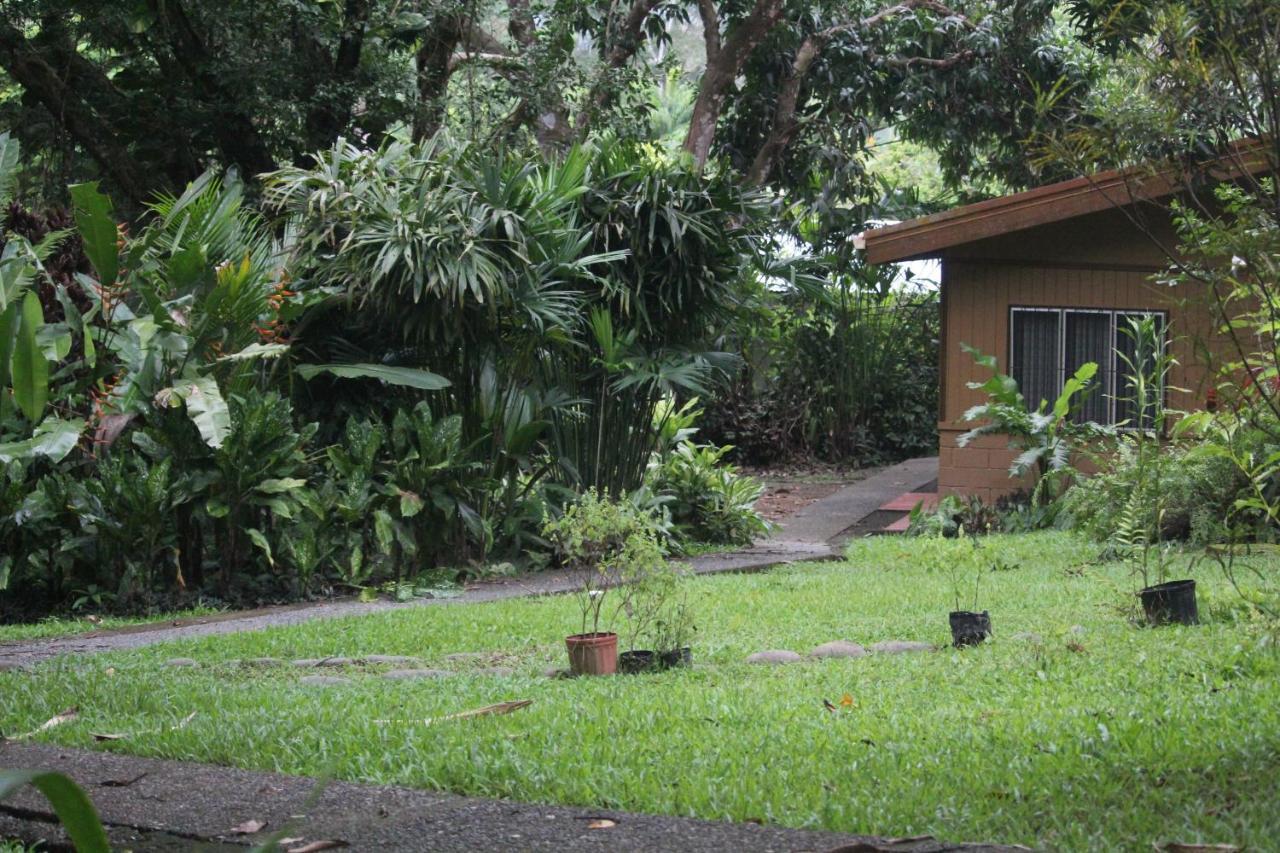 Hotel Iguana Libre Dominical Exteriér fotografie