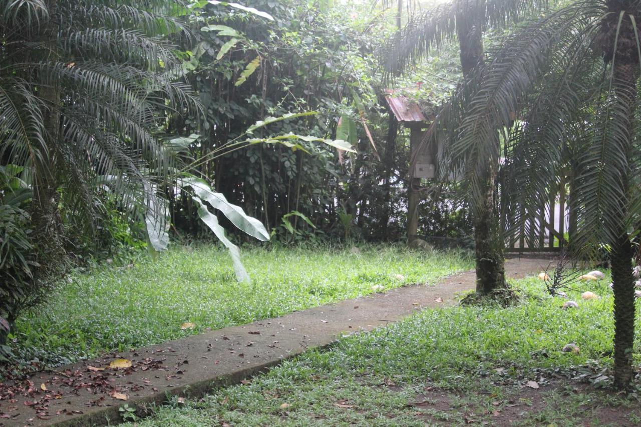 Hotel Iguana Libre Dominical Exteriér fotografie