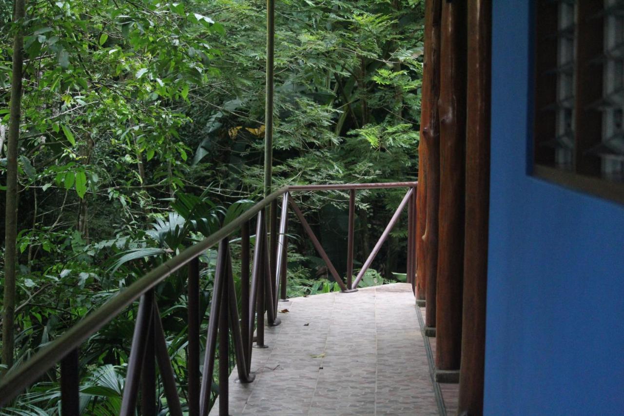 Hotel Iguana Libre Dominical Exteriér fotografie