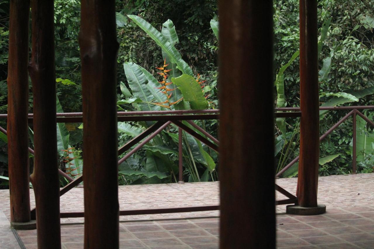 Hotel Iguana Libre Dominical Exteriér fotografie