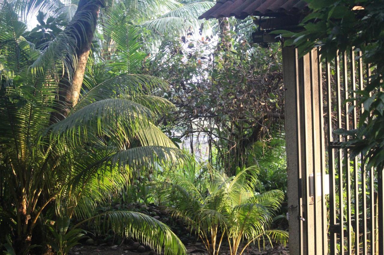 Hotel Iguana Libre Dominical Exteriér fotografie