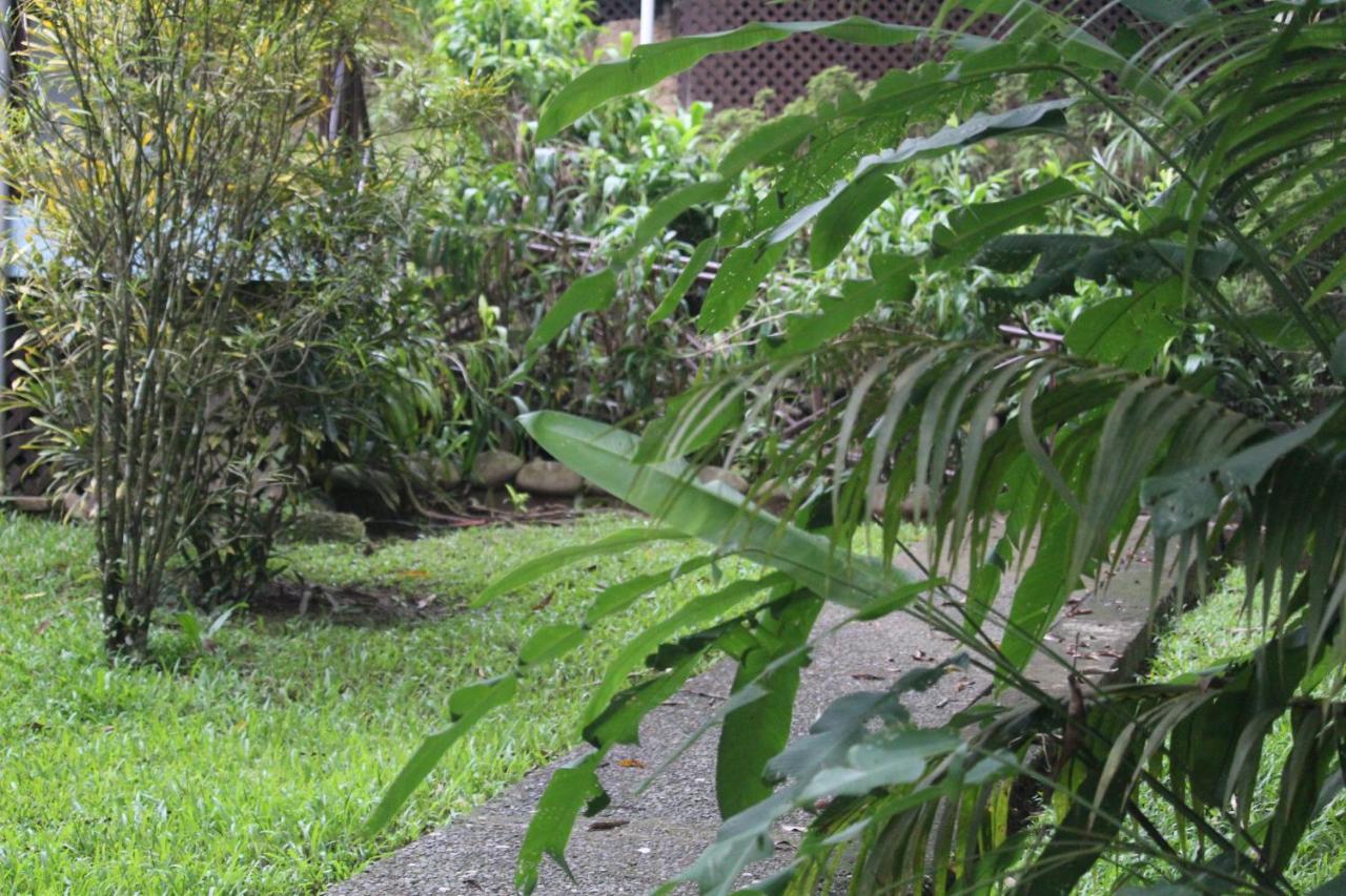 Hotel Iguana Libre Dominical Exteriér fotografie